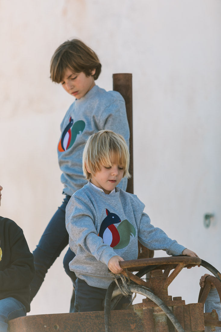 Sudadera Gris "Squirrel"